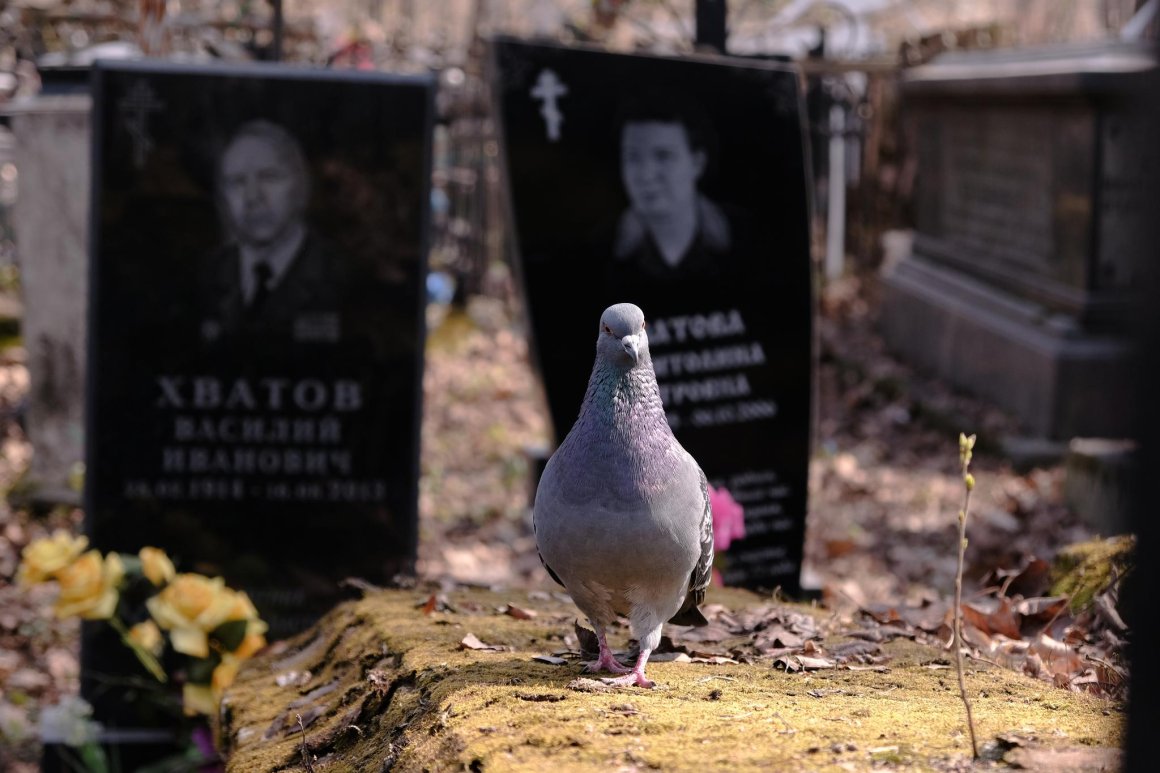 Озвучены даты запрета на посещение кладбищ во Владивостоке