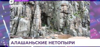 В Приморье обнаружили первую в России колонию редких летучих мышей