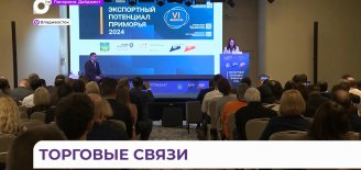 Форум «Экспортный потенциал Приморья» объединил сотни  приморских предпринимателей