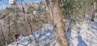 Разведка блогом / Гора Воробей / 17.11.24