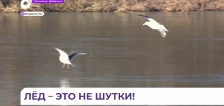 МЧС Приморья: выход на лёд в это время таит смертельную опасность