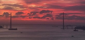 Новый год Владивосток встретит без снега, но жителей ждëт другая напасть