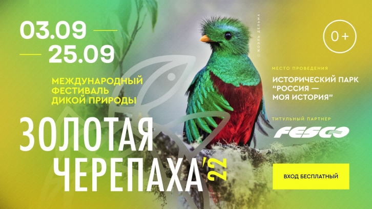 Международный фестиваль «Золотая черепаха» пройдет во Владивостоке бесплатно для всех