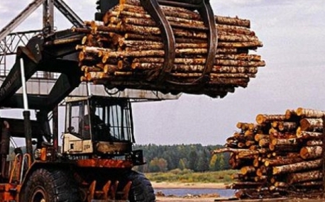 460 предприятий работают в Приморье в лесной отрасли