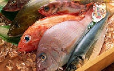 Во Владивостоке будут  работать два рыбных рынка