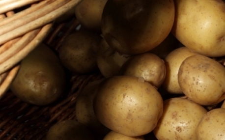 Картофеля и овощей в Приморье достаточно