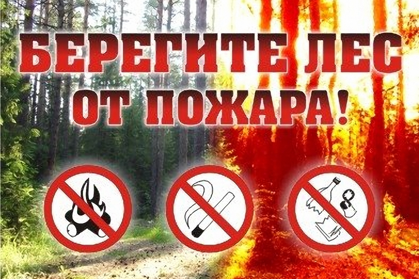 В Приморье число пожаров сократилось в четыре раза