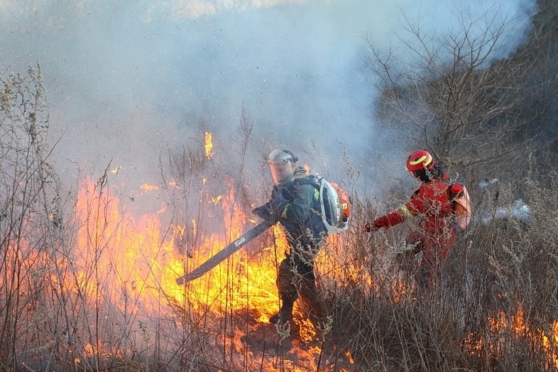 В приморских лесах ликвидированы последние пожары