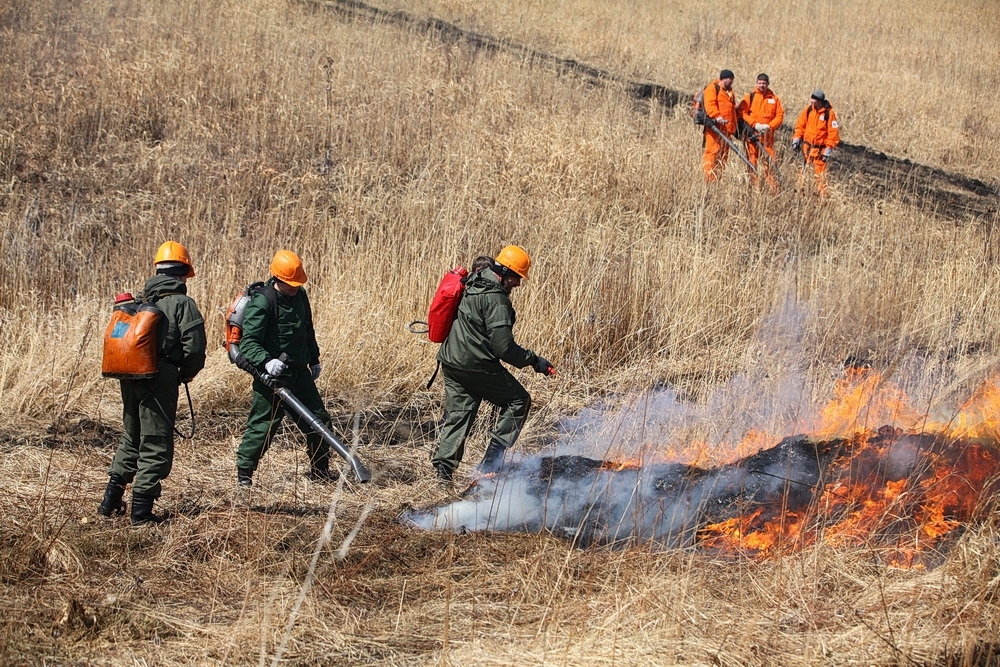 В Приморье за сутки потушено 18 лесных пожаров