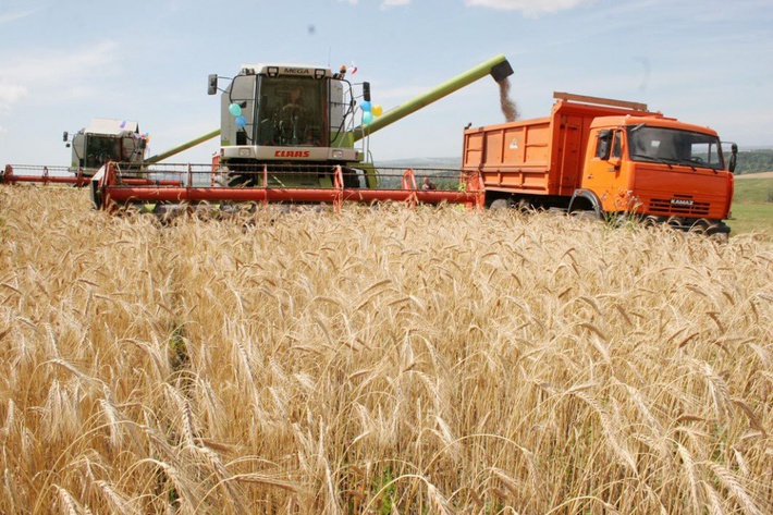 В Приморье увеличилась урожайность зерновых