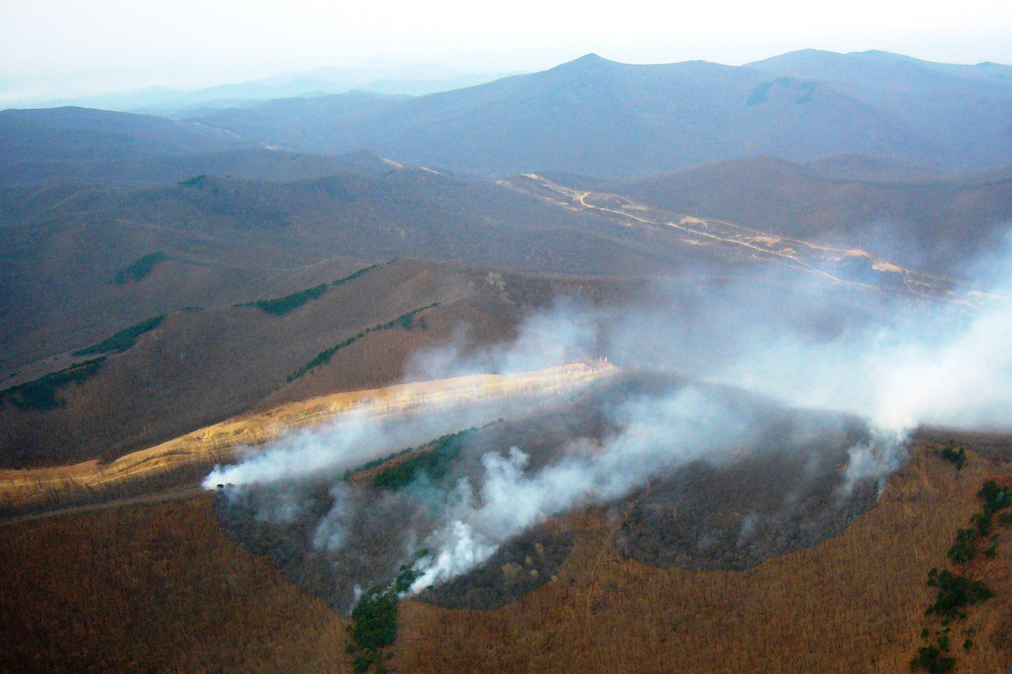 В Приморье за сутки потушено два лесных пожара