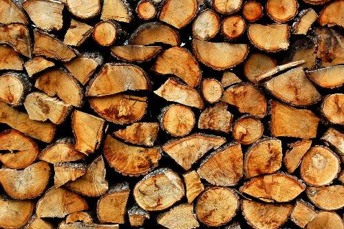 Более 100 пунктов приема древесины в Приморье уже работают в системе «Декремент»