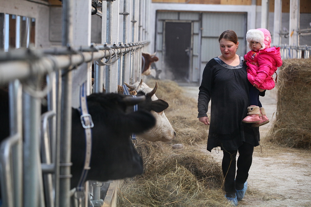 6 семейных ферм открыли в Приморье в 2015 году