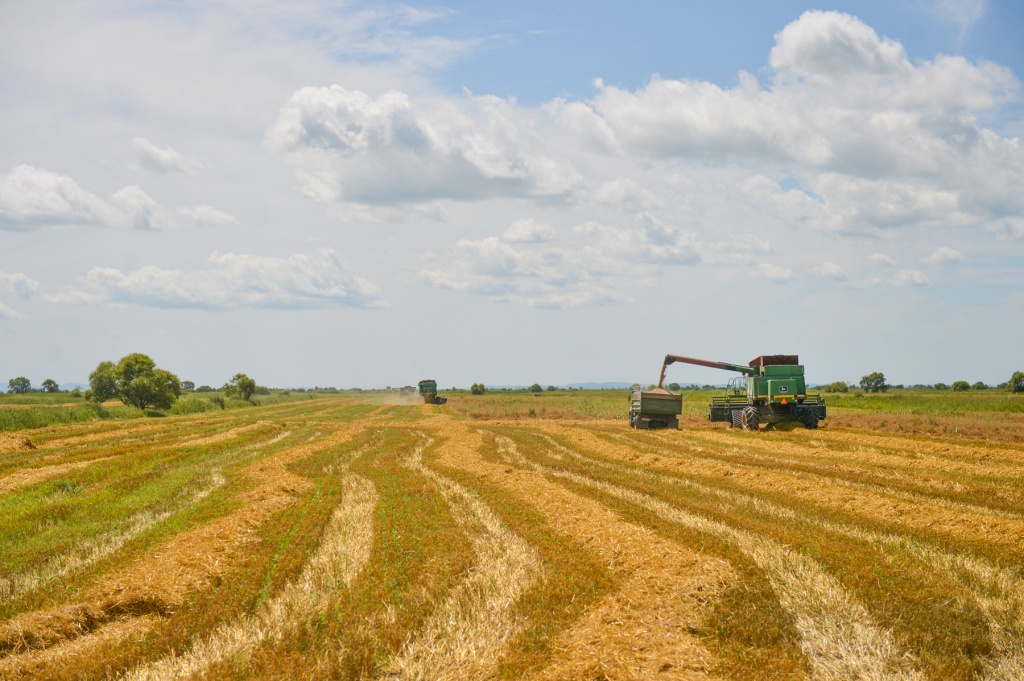 Почти 2 миллиарда рублей направили на поддержку сельхозтоваропроизводителей Приморья в 2015 году