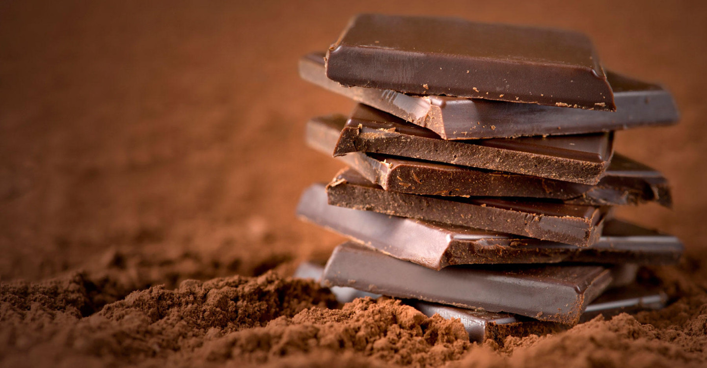 Приморские ученые создали шоколад с добавками из морских звезд и ежей