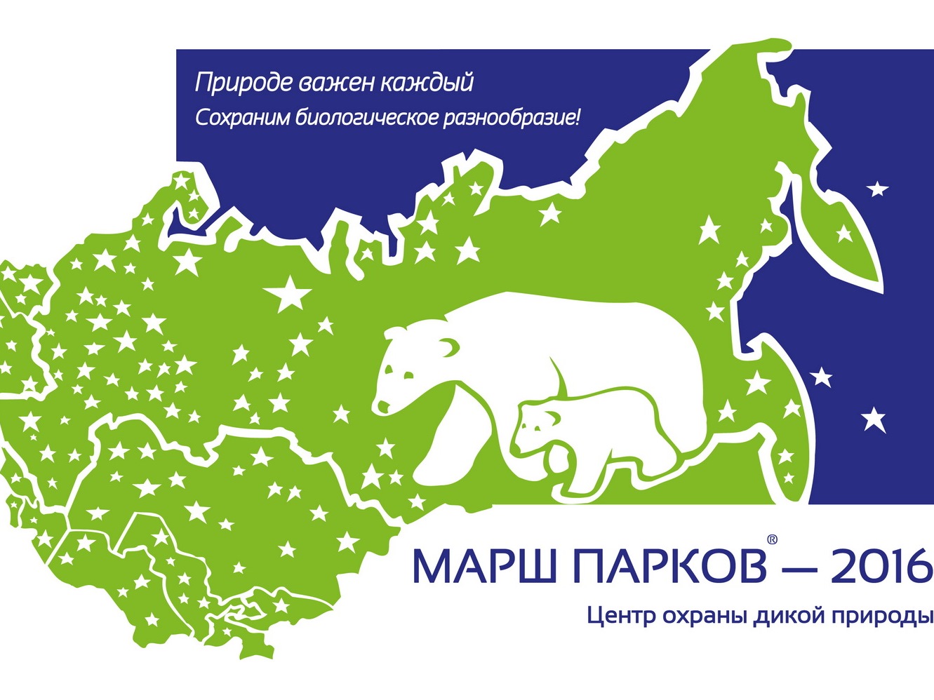 Земля леопарда» дает старт «Маршу парков» в Приморье - ОТВ-Прим -  Общественное телевидение Приморья ОТВ