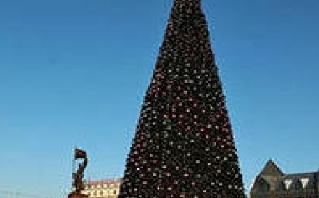 32-метровую новогоднюю ёлку устанавливают в центре Владивостока