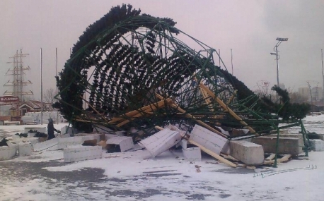 Владивосток: Упавшую елку заменят на прошлогоднюю