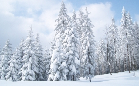 Середина недели  в Приморье будет снежной