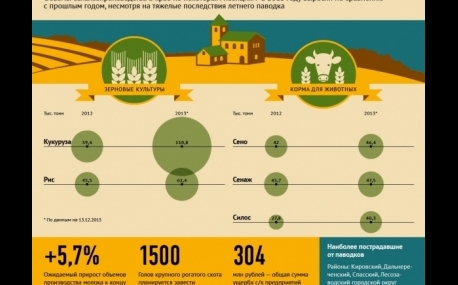 Сбор урожая в Приморье: Инфографика