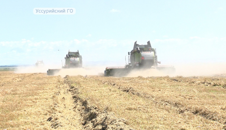 Урожайность ячменя, пшеницы и овса увеличилась в Приморье