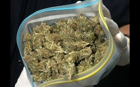 Более 5 кг марихуаны изъяли у  жителя Приморья 
