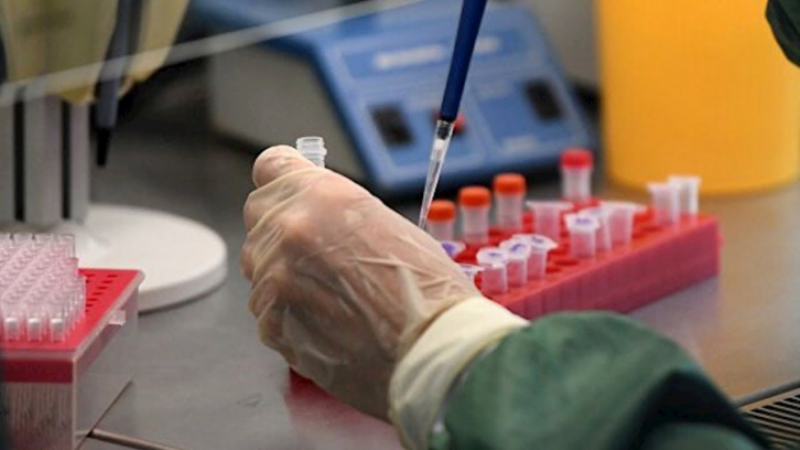 Число заражённых коронавирусом в Приморье достигло четырёх