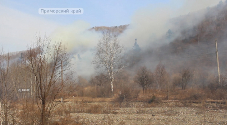 Четыре лесных пожара потушили в Приморье 