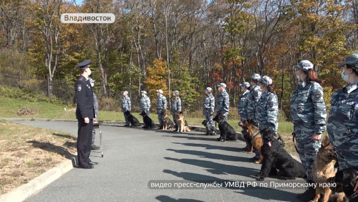 Учебные сборы полицейских-кинологов состоялись во Владивостоке 