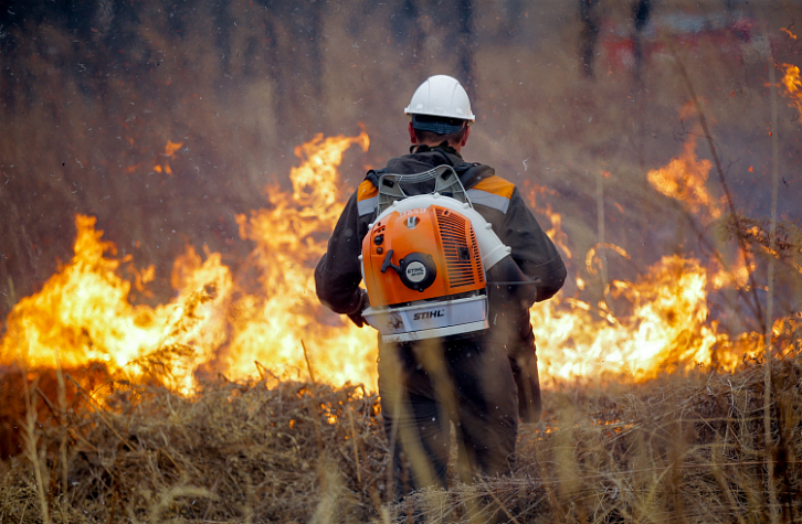 В Приморье ликвидировали шесть пожаров