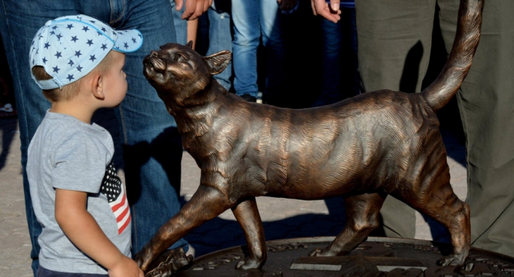 Памятник приморской кошке Матроске вошёл в топ-100 самых необычных в России