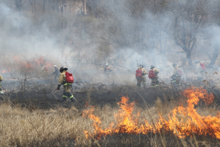 В Приморье за сутки потушили два лесных пожара 