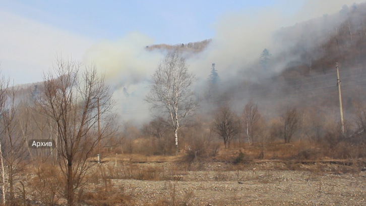 Особый противопожарный режим ввели во всех районах Приморья