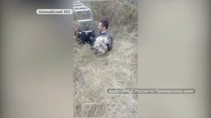В Приморье полицейские вытащили из заброшенного колодца редких животных