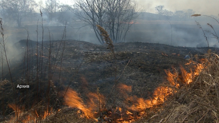 В трех районах Приморья действует особый противопожарный режим