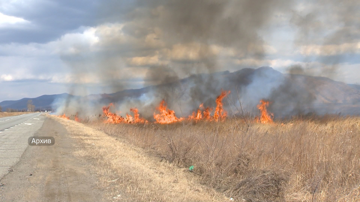 На севере Приморского края объявлена высокая пожарная опасность