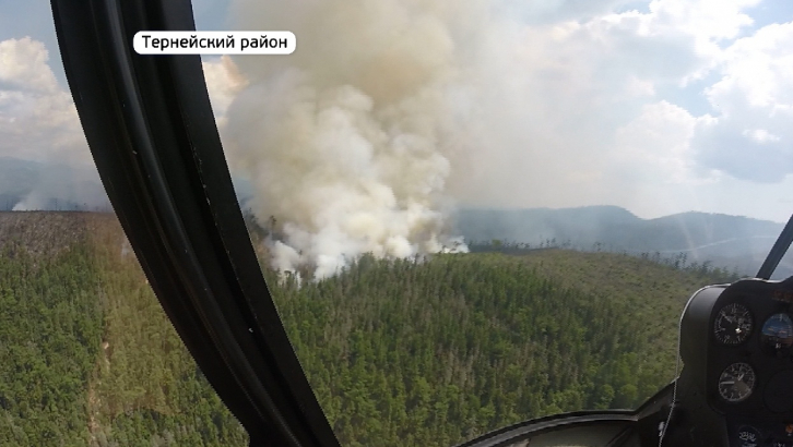 Пять пожаров бушуют в Приморье 