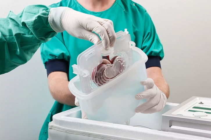 Первую успешную трансплантацию почек провели в Приморье 